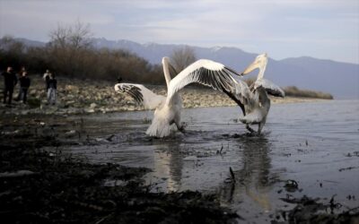 GREECE MACEDONIA PROVINCE 4X4 TOUR