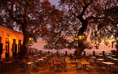 PELION MOUNTAIN HIKING ADVENTURE